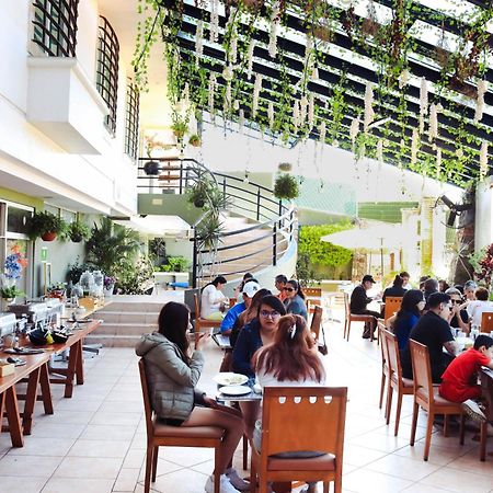 Hotel Borda Cuernavaca Extérieur photo